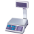 Торговые весы CAS ER-Jr-30 CBU